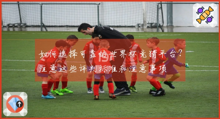 如何选择可靠的世界杯竞猜平台？注意这些评判标准和注意事项