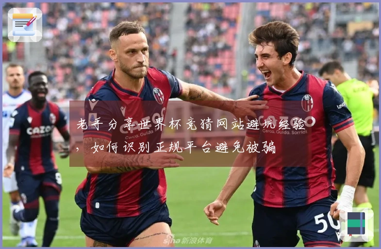 老手分享世界杯竞猜网站避坑经验，如何识别正规平台避免被骗