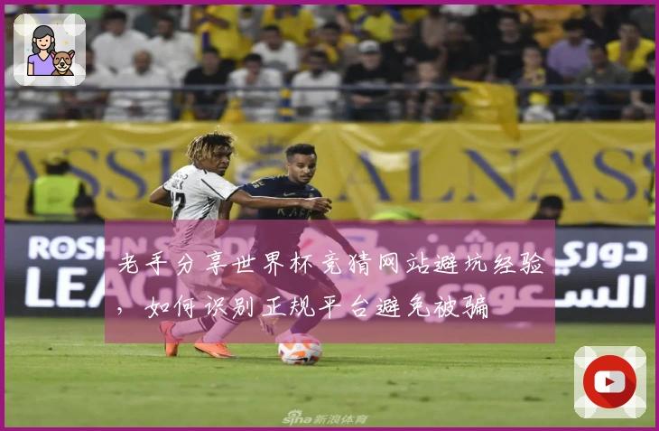 老手分享世界杯竞猜网站避坑经验，如何识别正规平台避免被骗