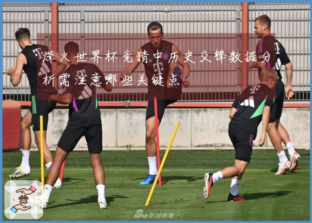 烽火世界杯竞猜中历史交锋数据分析需注意哪些关键点