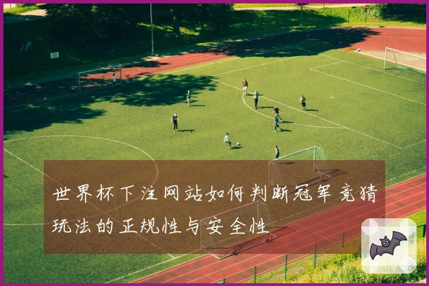 世界杯下注网站如何判断冠军竞猜玩法的正规性与安全性