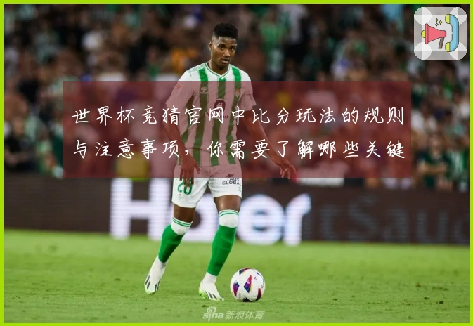 世界杯竞猜官网中比分玩法的规则与注意事项，你需要了解哪些关键点？