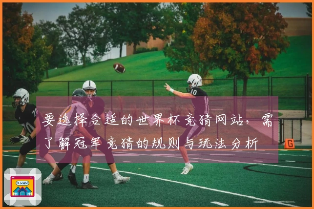 要选择合适的世界杯竞猜网站，需了解冠军竞猜的规则与玩法分析