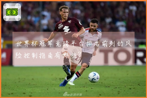 世界杯冠军竞猜平台排名前列的风险控制指南有哪些？